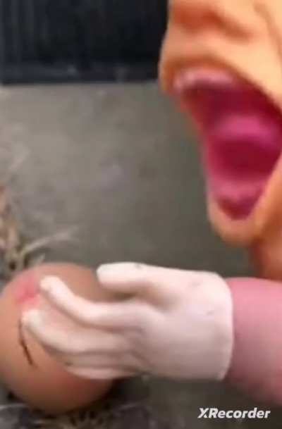 welcome to what the heck did watch 