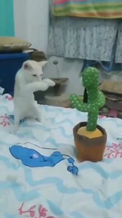 touch tha air