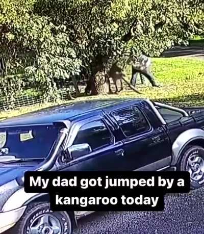 Australia looks like fun. 🦘
