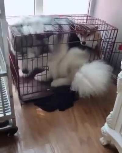 Knock knock