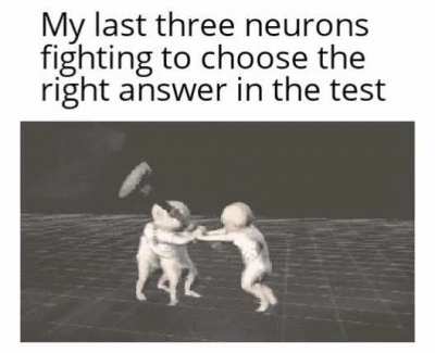 Intense fight