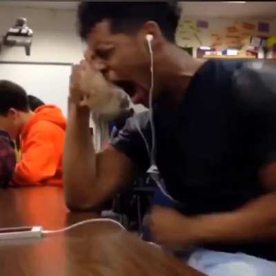 The RattPack watching Bobby cry on stream.