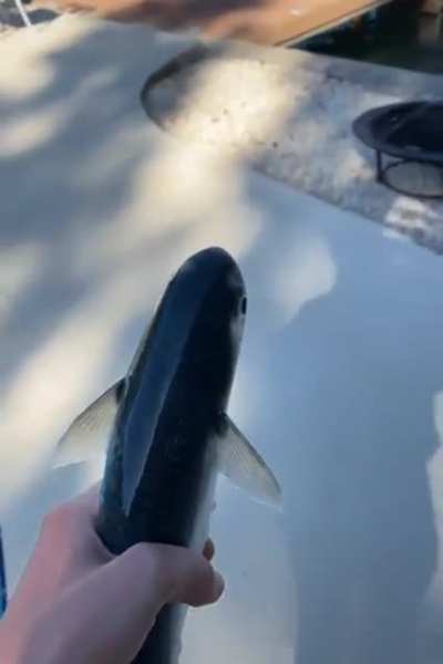 I release you