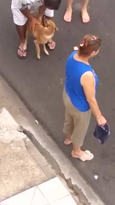 Amigo!