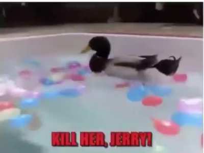 Laughed way to hard at this