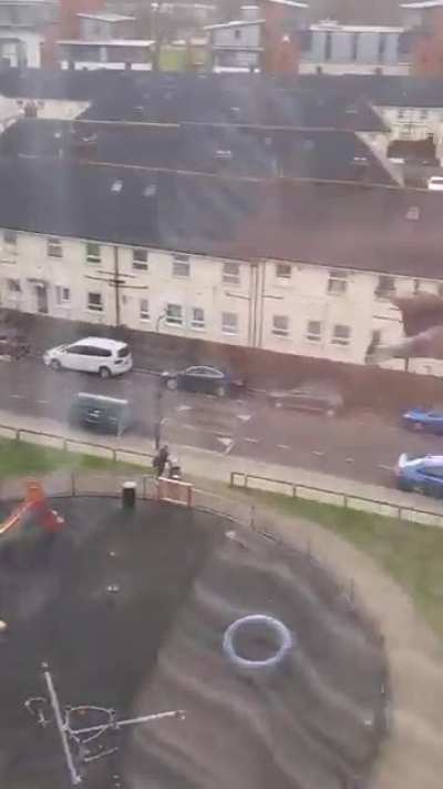 UK Today: All bird migrations are cancelled.