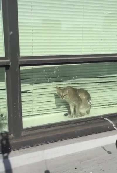 No more sitting near the window again
