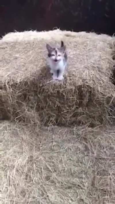 Moooom watch me do this thing!