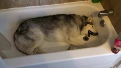 Come on... Aw--