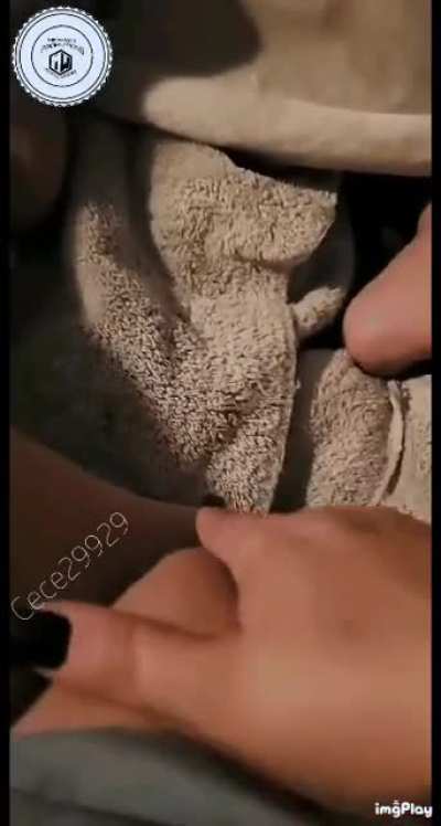 When her fingers slip between the lips