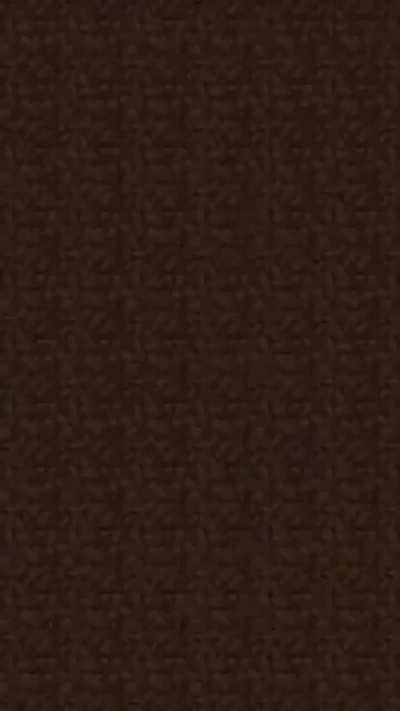 losercity minecraft
