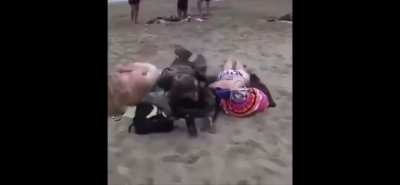 Man Rushes Beach Like It’s D-Day