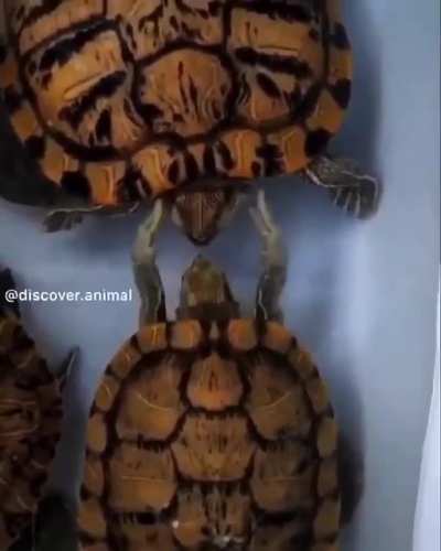 Well hello there!