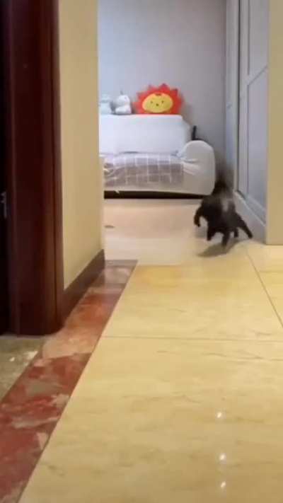 speed 100