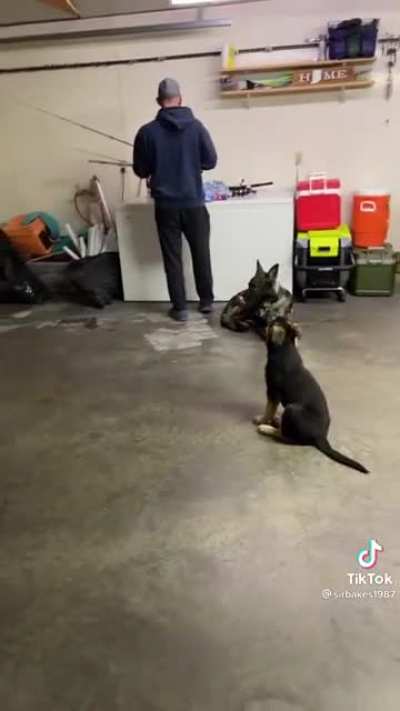 Voice of an angel