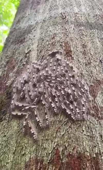 So cool