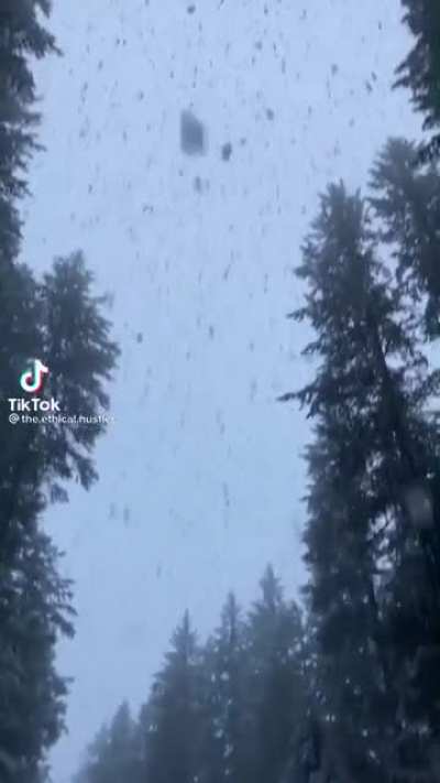 beautiful snowfall