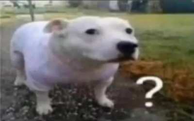 huh?