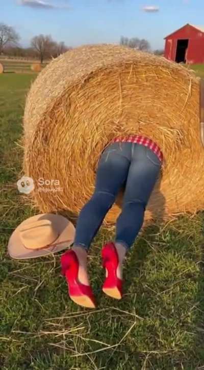 She gets stuck in hay