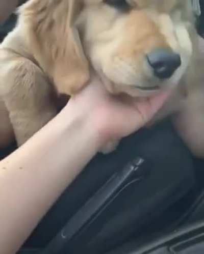 He is so sleepy