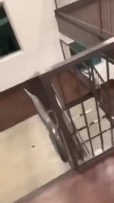 HMB while i slide this fence