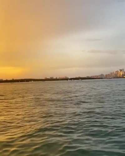 I’ll never top this video. Amazing dolphin encounter at Haulover