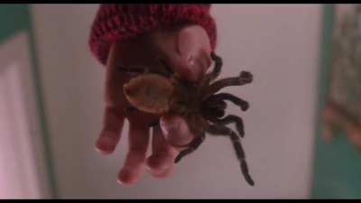 Marv vs tarantula