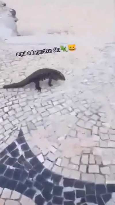 titulo morreu