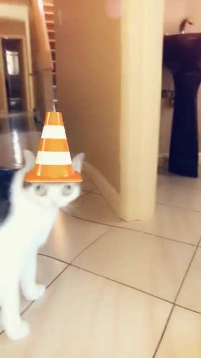 Derp.