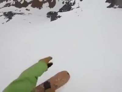 Dog flipping out over snow