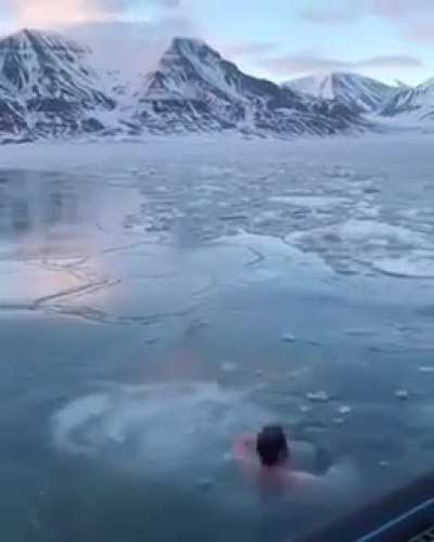 Russian Morning Swim Madness (that second dive, though!!)