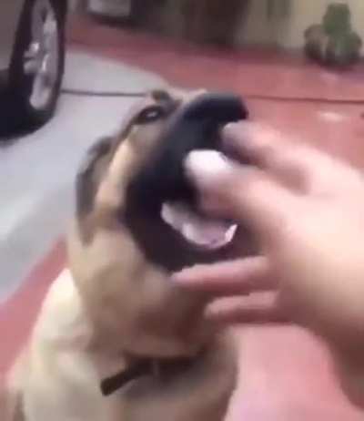 aye