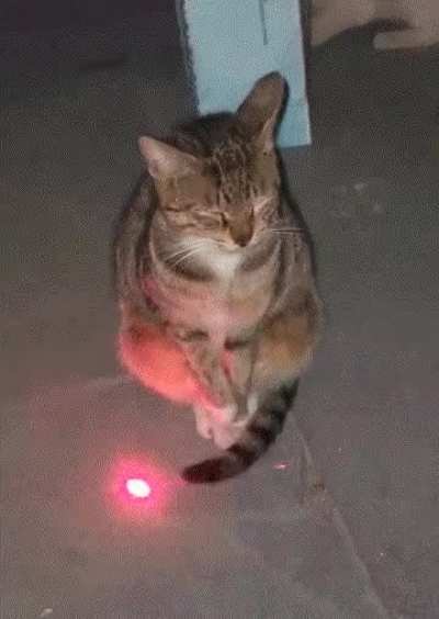 Title
