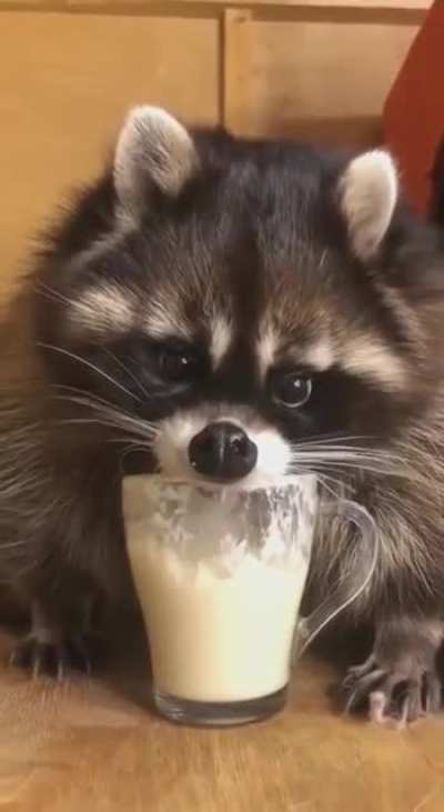 😂💖