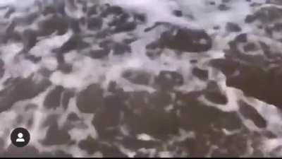 Short vid