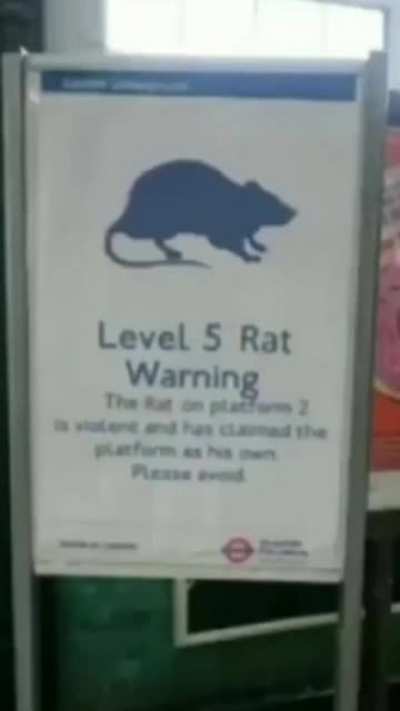 The vermin-tide approaches
