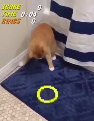 GOTTA WUNK FAST