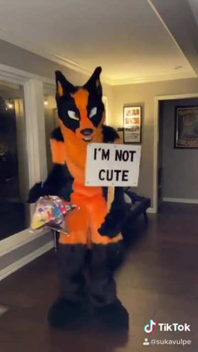 Ferocious isn't the word i'd use...