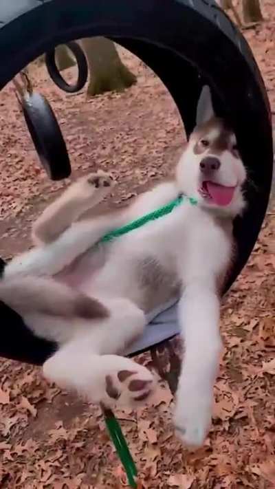 Just a lazy day