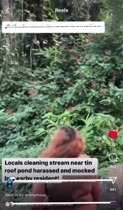 Hawai’i locals mocked for cleaning up a polluted stream.
