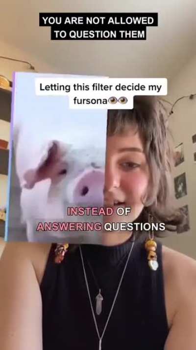 🐱