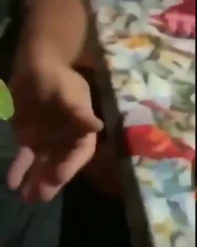 M&M