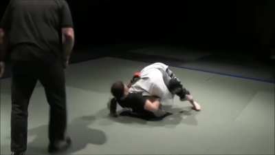 Male Vs Female MMA