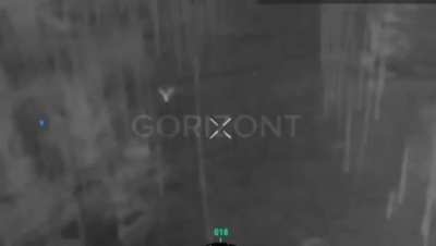 An Owl Takes Out a Russian Drone, Somewhere in Donetsk Frontlines