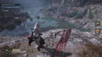 What did I witness?