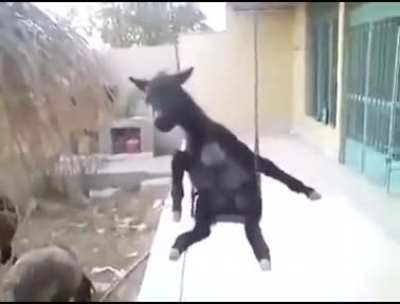 Allah