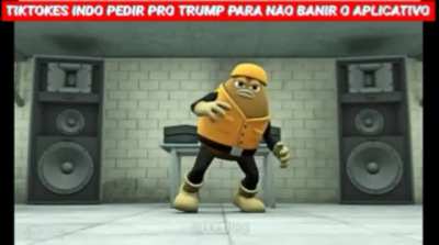 Tique teco