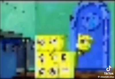 Sponge