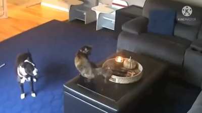 Hot pussy