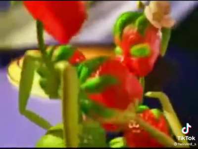 cursed_fruits
